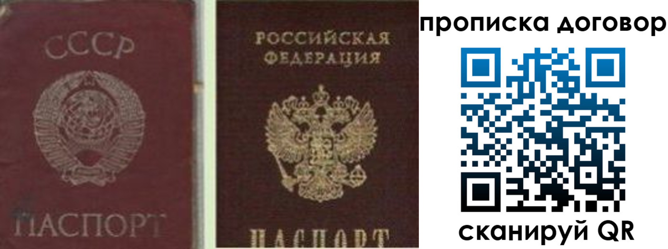 прописка гарантия в Дегтярске